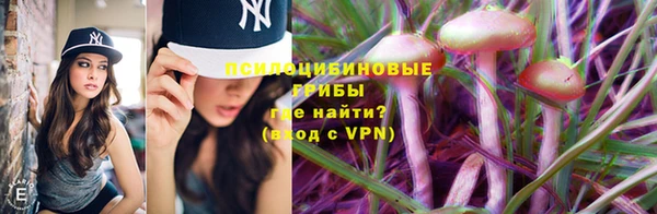 бошки Армянск